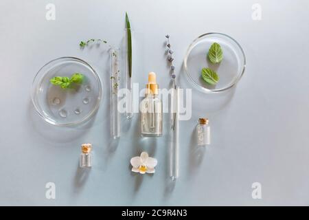 Par-dessus des flacons et flacons en verre assortis disposés sur une table avec des plantes fraîches dans un laboratoire moderne Banque D'Images