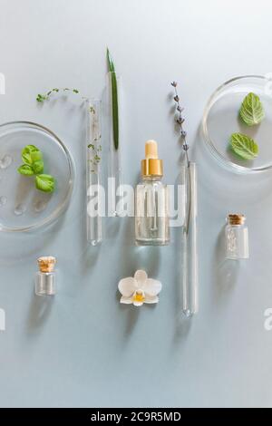 Par-dessus des flacons et flacons en verre assortis disposés sur une table avec des plantes fraîches dans un laboratoire moderne Banque D'Images