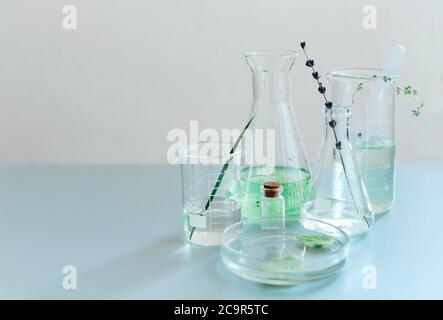 Flacons et flacons en verre assortis disposés avec des plantes vertes sur une table dans un laboratoire moderne Banque D'Images