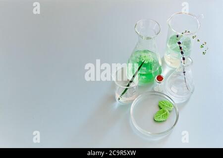 Flacons et flacons en verre assortis disposés avec des plantes vertes sur une table dans un laboratoire moderne Banque D'Images
