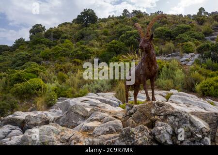 Monument de la chèvre de montagne de la Sierra de las Nieves dans la municipalité de OJEN, Andalousie Banque D'Images
