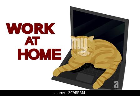Chat paresseux à tête rousse en train de dormir sur un ordinateur portable Illustration vectorielle. Cat et ordinateur portable, concept blanc isolé. Dessin animé plat. Bureau à domicile. Travailler à domicile. À distance Illustration de Vecteur