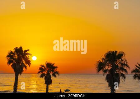 Lever de soleil ou coucher de soleil orange sur la plage avec des palmiers Arbres en Espagne Banque D'Images