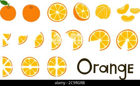 Agrumes. Oranges. Orange entier et coupé, moitié et tranches. Vitamine C. ensemble d'éléments vectoriels modernes positifs dans des couleurs chaudes isolés sur du blanc. Attache Illustration de Vecteur