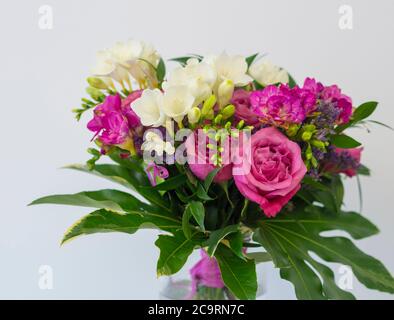 gros plan rose rose et blanc bouquet de fleurs de freesia avec feuilles vertes, arangement floral décoratif sur fond blanc Banque D'Images