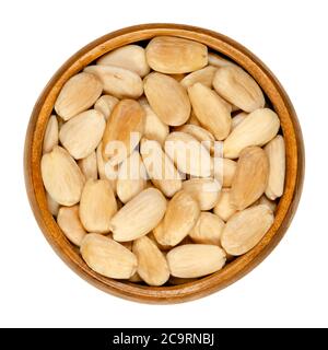 Amandes blanchies et rôties dans un bol en bois. Graines entières, pelées et rôties, prêtes à manger comme encas ou dessert. Prunus dulcis. Gros plan, par le dessus Banque D'Images