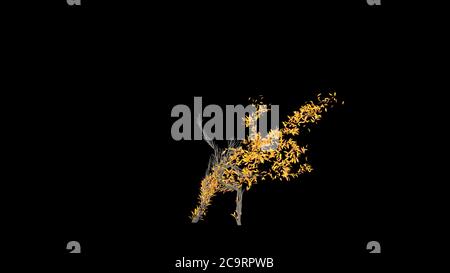 Arbre en pleine croissance en forme d'humain. Concept ECO. Rendu 3D. Banque D'Images