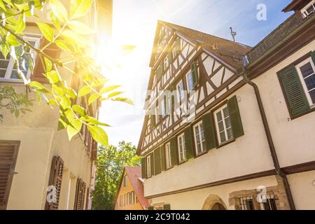 Soleil brillant à travers des feuilles vertes devant des bâtiments historiques dans la vieille ville de Tübingen, dans le sud de l'Allemagne Banque D'Images