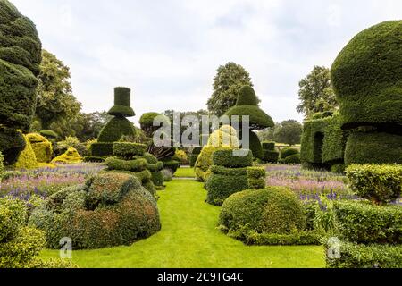 Plus ancien parc des Topiaires dans le monde avec des plantes à l'formes fantastiques Levens Hall en Cumbria, UK. Banque D'Images