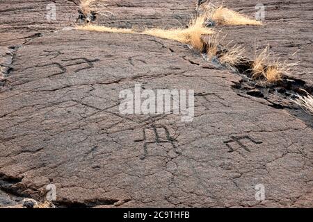 Pétroglyphes du district archéologique de Puako Petroglyph. Malama Trail, Hawaï, la troisième grande île Banque D'Images