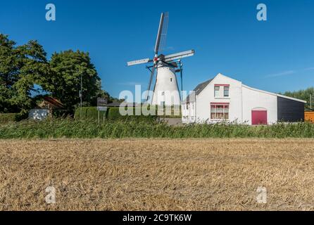 Moulin à vent traditionnel hollandais appelé 'de Oude Molen' (en néerlandais) situé dans le village de Colijnsplaat, province de Zélande, pays-Bas Banque D'Images