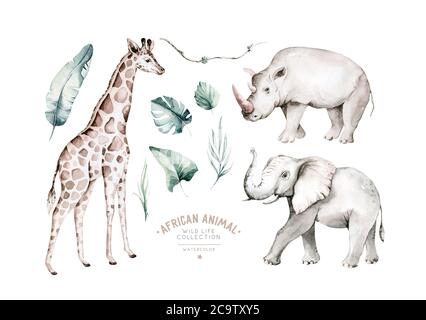 Aquarelle de l'éléphant frican, girafe et rhinocéros isolés sur fond blanc. Savannah Rhipo faune dessin animé zoo poster safari. Jungle Banque D'Images