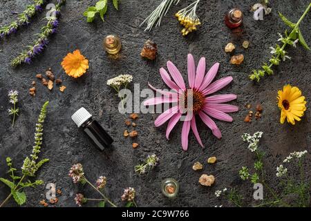 Bouteilles d'huile essentielle avec encens, hyssop, origan en fleurs, échinacée et autres herbes sur fond sombre Banque D'Images