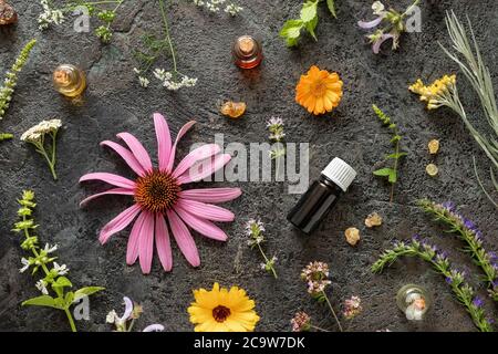 Bouteilles d'huile essentielle avec encens, calendula, yarrow, échinacée et autres herbes sur fond sombre Banque D'Images