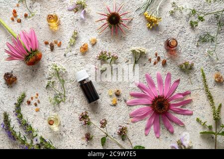 Bouteilles d'huile essentielle avec encens, hyssop, origan en fleurs, échinacée et autres herbes sur fond lumineux Banque D'Images