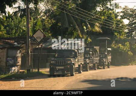 Voitures Jeep prêtes pour Safari dans le parc national de Yala au Sri Lanka. Banque D'Images