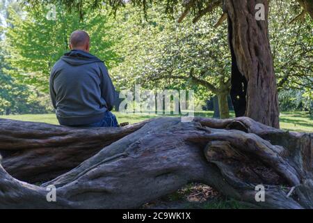 Vue arrière de l'homme assis sur le bois d'arbre avec la terre du parc et les arbres en face de lui. Printemps à Eastcote House Gardens, Eastcote Hillingdon, West London. Banque D'Images