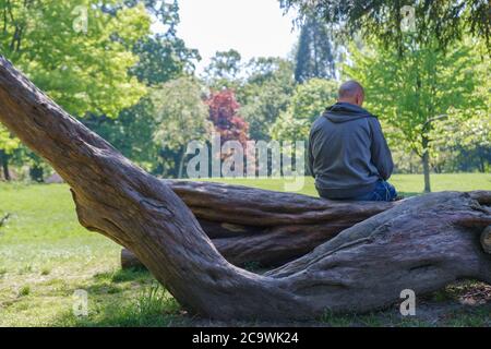 Vue arrière de l'homme assis sur le bois d'arbre avec la terre du parc et les arbres en face de lui. Printemps à Eastcote House Gardens, Eastcote Hillingdon, West London. Banque D'Images