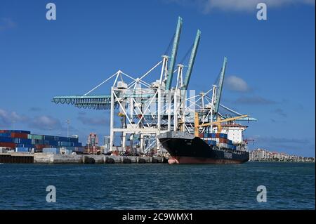 Miami, Floride 05-30-2019 un navire à conteneurs charge des conteneurs sous des grues portiques de Port Miami l'après-midi ensoleillé de l'été. Banque D'Images