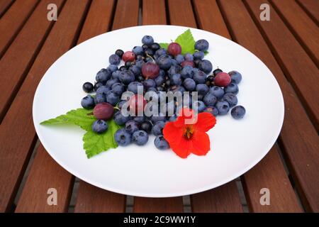 Plateau de bleuets finlandais frais, de groseilles à maquereau et de cassis servi sur une assiette blanche sur une table en bois avec des feuilles de cassis vertes et rouges Banque D'Images