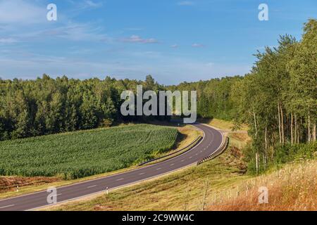 Paysage avec autoroute et forêt passant autour du virage en Biélorussie Banque D'Images