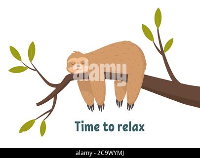 Adorable sloth dormant, reposant sur une branche d'arbre isolée sur fond blanc. Temps de détente, illustration du vecteur de concept Illustration de Vecteur