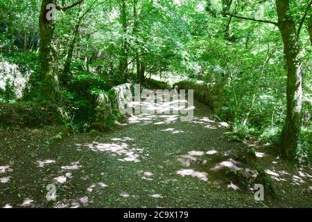 Vallée de Luxulyan 300720 Banque D'Images