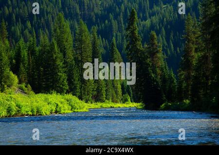 St. Joe Wild and Scenic River, St. Joe National Forest, St. Joe River Scenic Byway, Idaho Banque D'Images