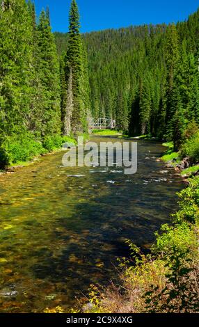 St. Joe Wild and Scenic River, St. Joe National Forest, St. Joe River Scenic Byway, Idaho Banque D'Images