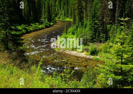 St. Joe Wild and Scenic River, St. Joe National Forest, St. Joe River Scenic Byway, Idaho Banque D'Images