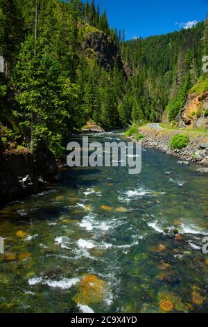 St. Joe Wild and Scenic River, St. Joe National Forest, St. Joe River Scenic Byway, Idaho Banque D'Images