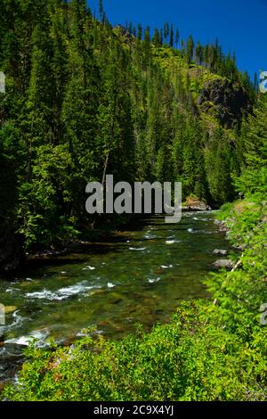 St. Joe Wild and Scenic River, St. Joe National Forest, St. Joe River Scenic Byway, Idaho Banque D'Images