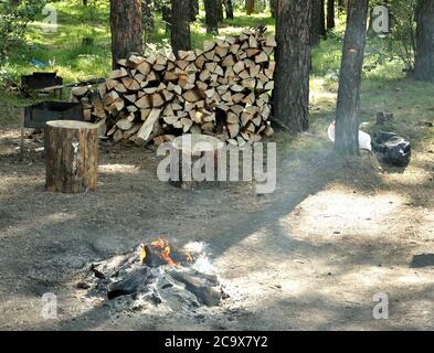 Camp de randonnée dans les bois, pile de bois de chauffage, feu de mort et chanvre de pins coupés. Karakansky Bor, région de Novosibirsk. Banque D'Images