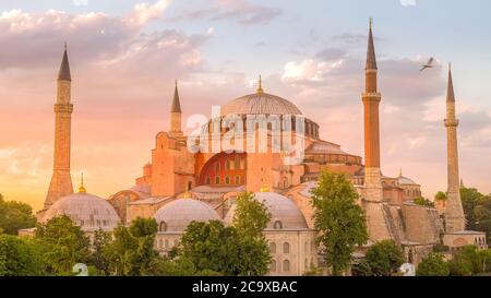 des mouettes volent autour de la mosquée sainte-sophie au coucher du soleil à istanbul Banque D'Images