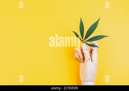 Branche de cannabis dans une main artificielle en bois sur fond jaune. Banque D'Images