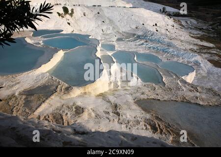 Pamukkale, fritte terrasses Turquie Banque D'Images