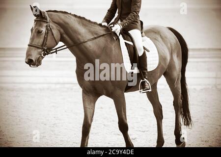 Photo d'époque en Sepia filtre un beau cheval de course avec un cavalier dans la selle sur une arène sablonneuse pour les compétitions équestres. Banque D'Images