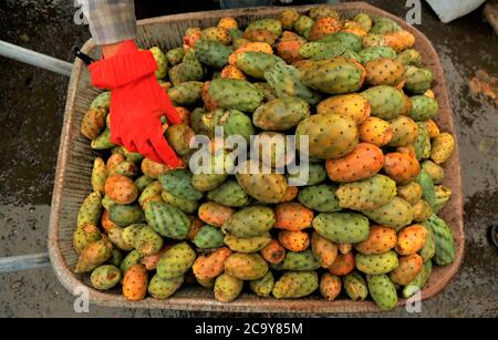 (200803) -- SANAA, le 3 août 2020 (Xinhua) -- UN vendeur prépare des fruits à la poire sur sa brouette pour la vente dans une rue de Sanaa, au Yémen, le 21 juillet 2020. POUR ALLER AVEC "Feature: La poire au Yémen fournit des moyens de subsistance malgré la guerre, blocus" (photo de Mohammed Mohammed/Xinhua) Banque D'Images