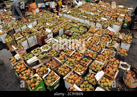 (200803) -- SANAA, le 3 août 2020 (Xinhua) -- UN marchand expose des fruits à la poire piqueuse à vendre sur un marché de Sanaa, au Yémen, le 21 juillet 2020. POUR ALLER AVEC "Feature: La poire au Yémen fournit des moyens de subsistance malgré la guerre, blocus" (photo de Mohammed Mohammed/Xinhua) Banque D'Images