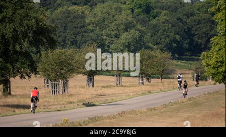 Richmond Park Londres, Royaume-Uni. 3 août 2020. Matin chaud à Richmond Park avec quelques cyclistes tôt appréciant les routes du parc sans circulation. Crédit : Malcolm Park/Alay Live News. Banque D'Images