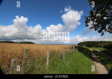 Yorkshire Wolds, Angleterre. Une région non découverte. Banque D'Images