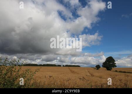 Yorkshire Wolds, Angleterre. Une région non découverte. Banque D'Images