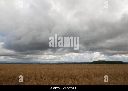 Yorkshire Wolds, Angleterre. Une région non découverte Banque D'Images