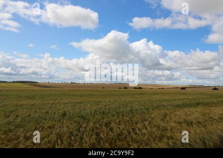 Yorkshire Wolds, Angleterre. Une région non découverte Banque D'Images