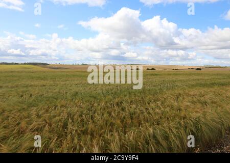 Yorkshire Wolds, Angleterre. Une région non découverte Banque D'Images