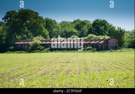 Bâtiments abandonnés les vestiges de ce qui était l'usine de munitions de Rotherwas, ils ont été construits pendant la première guerre mondiale et sont restés tout au long de la sec Banque D'Images