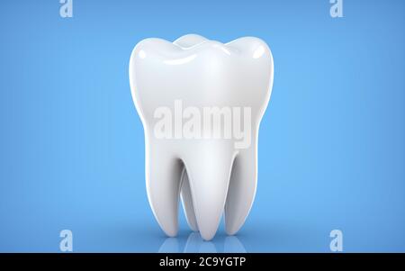 Modèle dentaire de dent prémolaire, rendu 3d sur fond bleu. illustration 3d comme concept de dents d'examen dentaire, santé dentaire et hygiène Banque D'Images