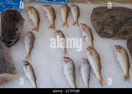Nice, France, 18 juillet 2018, poisson frais sur glace, en vente sur le marché alimentaire Banque D'Images