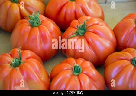 Une quantité de grosses tomates rouges beefsteak à vendre à Un marché alimentaire français Banque D'Images