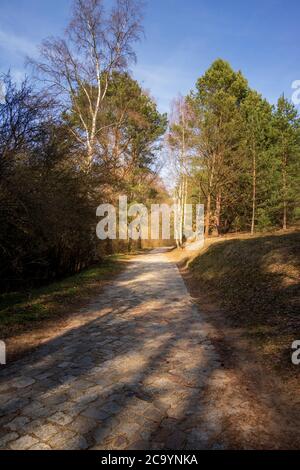 Bydgoszcz-Road dans le parc lors d'une journée ensoleillée parmi les arbres Banque D'Images